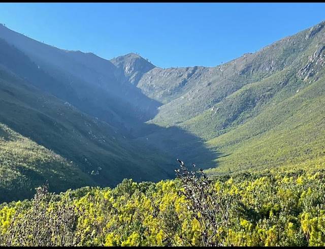 LAND FOR SALE IN TSITSIKAMMA